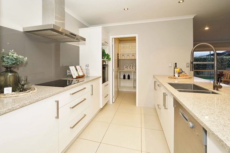 Photo of property in 9 Derwent Place, Flagstaff, Hamilton, 3210