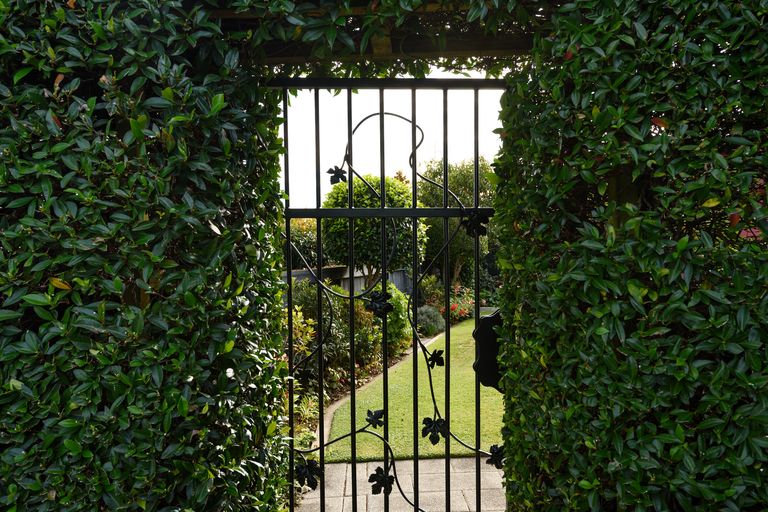 Photo of property in 74 Orange Lane, Bethlehem, Tauranga, 3110