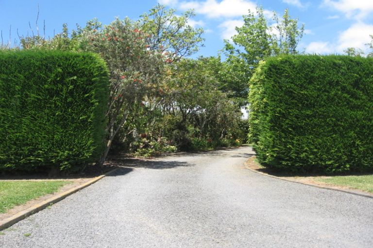 Photo of property in 386 Tuapiro Road, Tahawai, Katikati, 3170