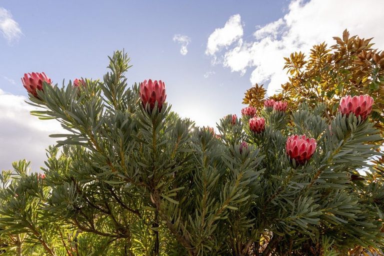 Photo of property in 134 Margaret Drive, Omokoroa, 3114