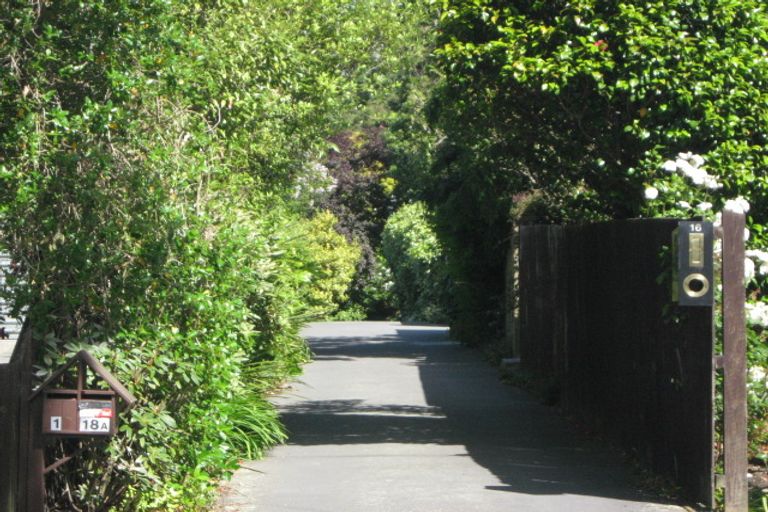 Photo of property in 16a Darley Street, Somerfield, Christchurch, 8024