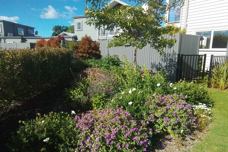 Photo of property in 46 Plescher Crescent, Leamington, Cambridge, 3432