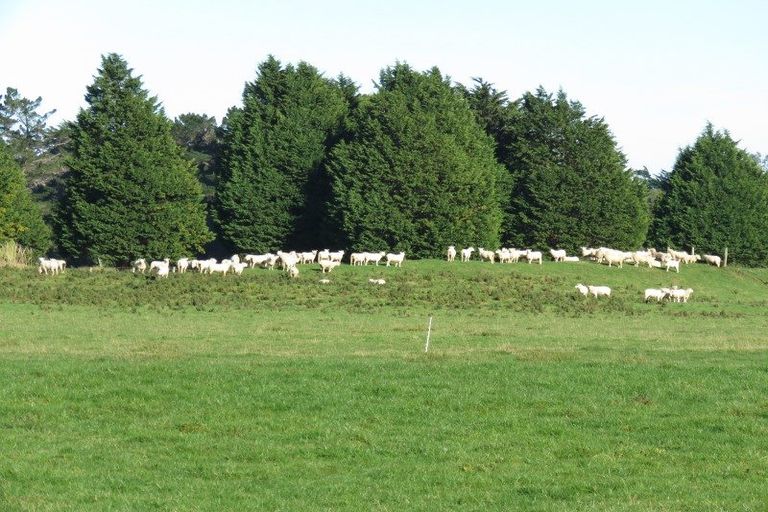 Photo of property in 60 Otatara Road, Otatara, Invercargill, 9879