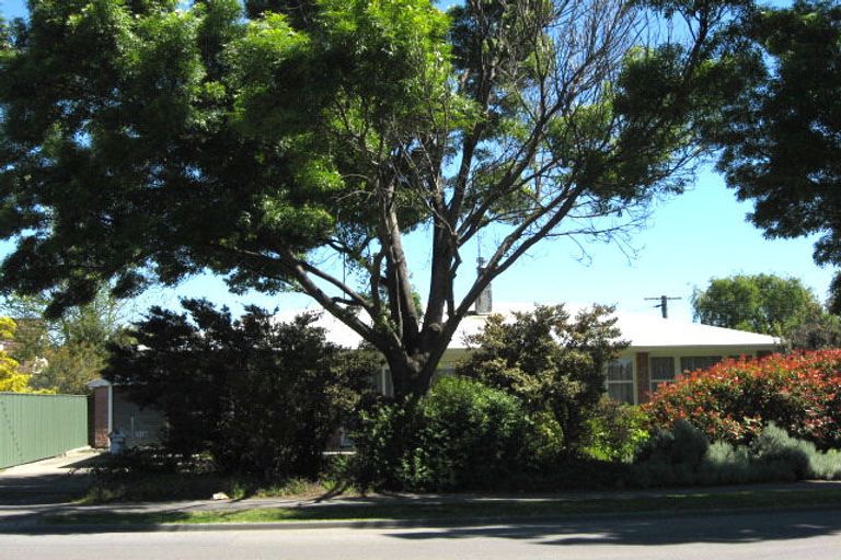 Photo of property in 178 Scott Street, Redwoodtown, Blenheim, 7201