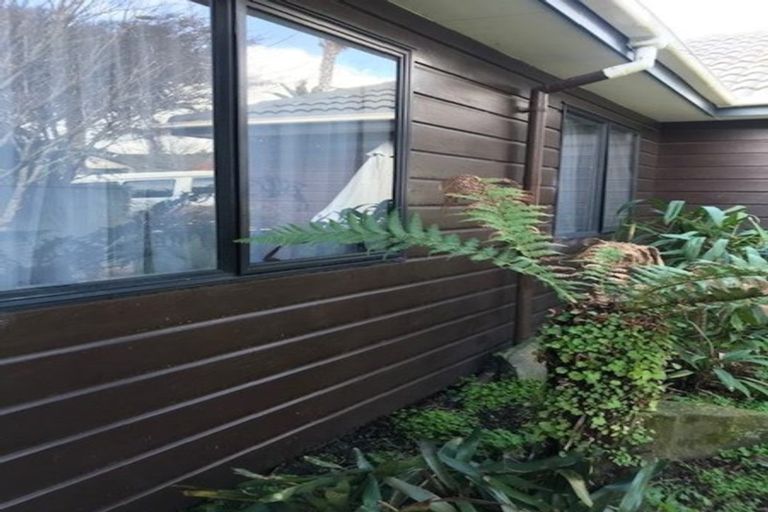 Photo of property in 98 Caribbean Drive, Unsworth Heights, Auckland, 0632