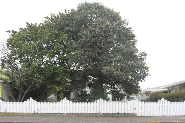 Photo of property in 75 Mcgrath Street, Napier South, Napier, 4110