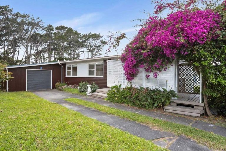 Photo of property in 11 Thornlow Street, Glendene, Auckland, 0602