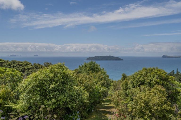Photo of property in 127 Pumpkin Hill Road, Pumpkin Hill, Whitianga, 3591