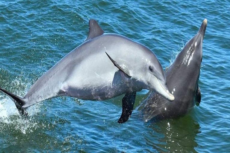 Photo of property in 752 Settlement Road, Hakaru, Wellsford, 0975