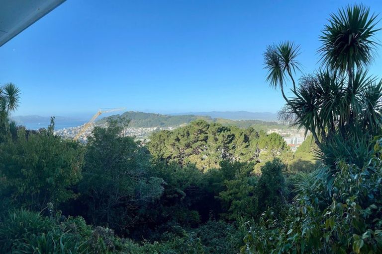 Photo of property in 3 Asquith Terrace, Brooklyn, Wellington, 6021