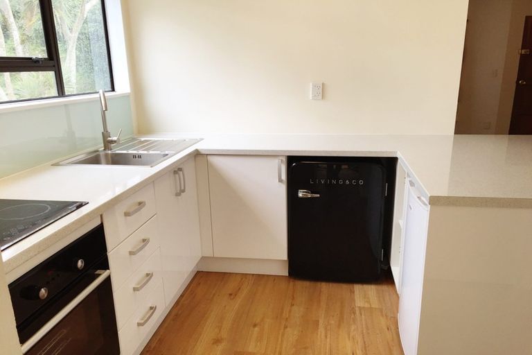 Photo of property in 43b Liardet Street, Vogeltown, Wellington, 6021