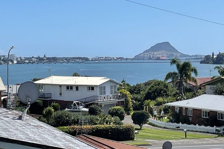 Photo of property in 361a Maungatapu Road, Maungatapu, Tauranga, 3112