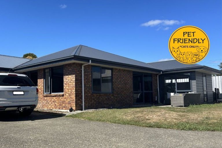 Photo of property in 32a George Street, Richmond, 7020