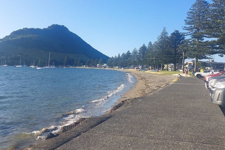 Photo of property in 316/36 Victoria Road, Mount Maunganui, 3116