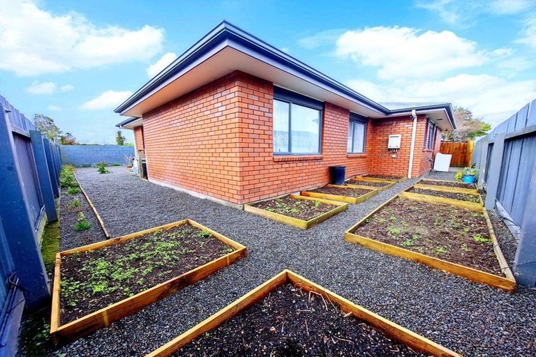 Photo of property in 105a Limbrick Street, Terrace End, Palmerston North, 4410