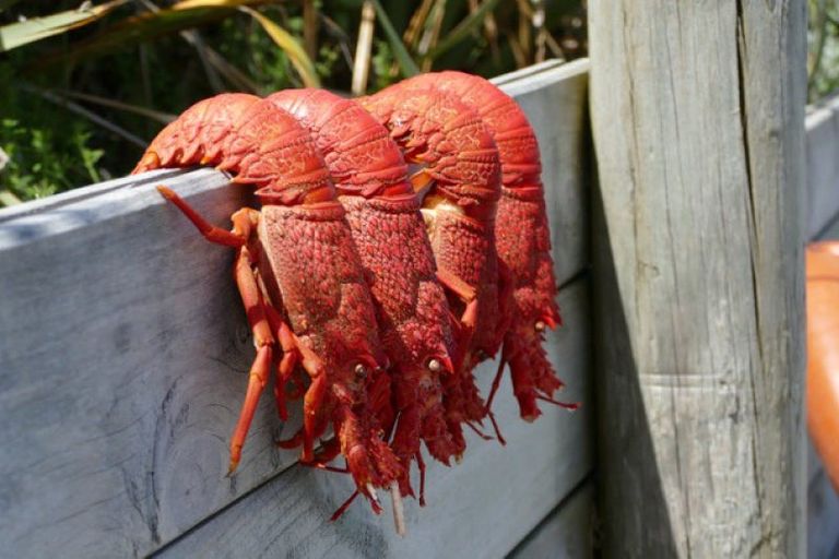 Photo of property in 149 Te Awaiti Road, Tora, Martinborough, 5782