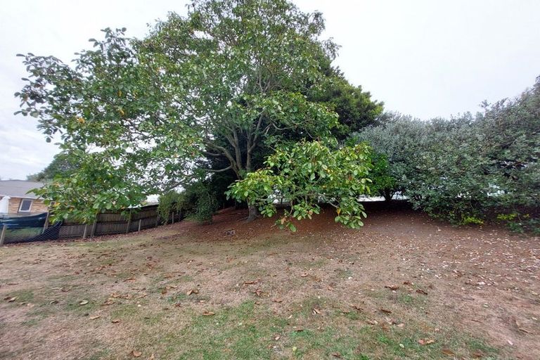 Photo of property in 11 Wiremu Street, Hamilton East, Hamilton, 3216