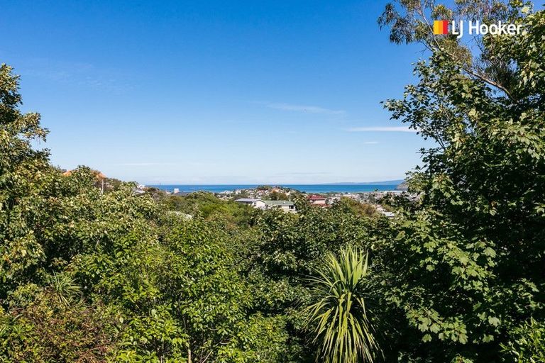Photo of property in 55b Every Street, Andersons Bay, Dunedin, 9013