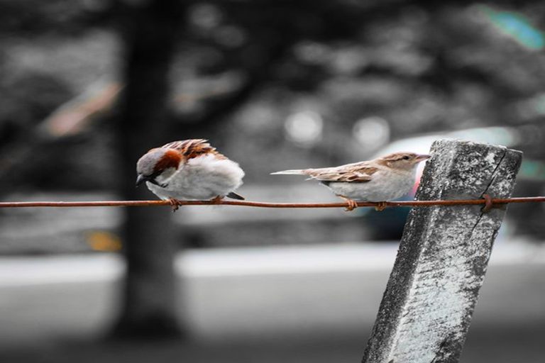 Photo of property in 2b Hartley Avenue, Carterton, 5713