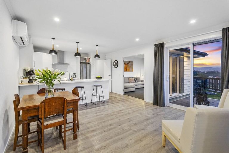 Photo of property in 113 John Burke Drive, Aotea, Porirua, 5024