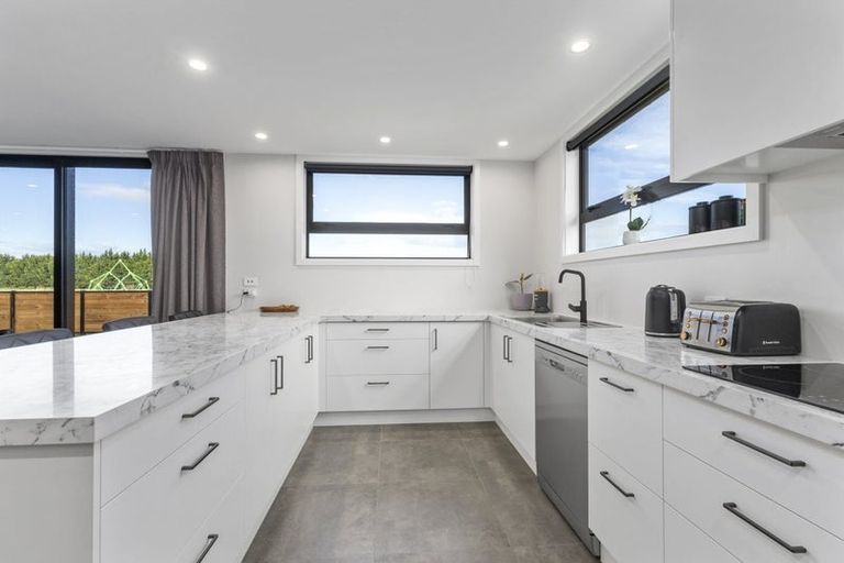 Photo of property in 45 Ashbury Drive, Tinwald, 7774