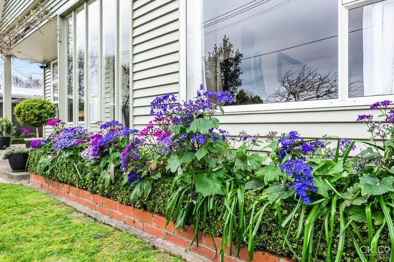 Photo of property in 20 Anderson Grove, Epuni, Lower Hutt, 5011