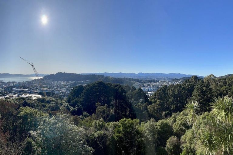 Photo of property in 3 Asquith Terrace, Brooklyn, Wellington, 6021