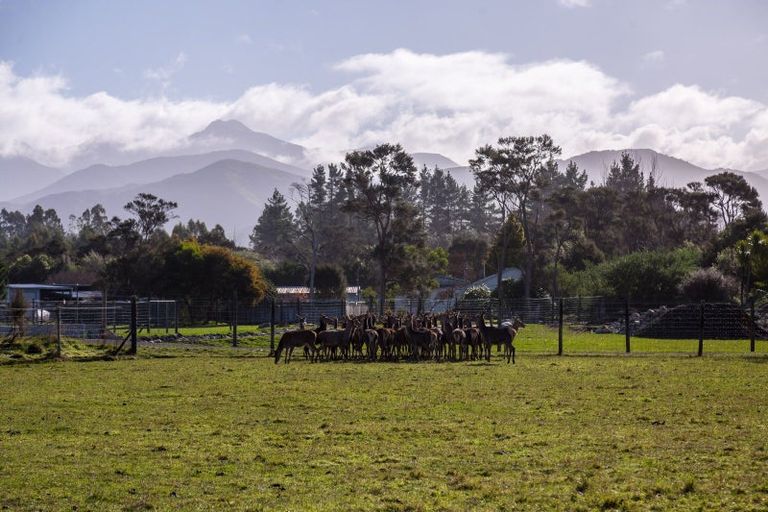 Photo of property in 707 Norfolk Road, Upper Plain, Carterton, 5791