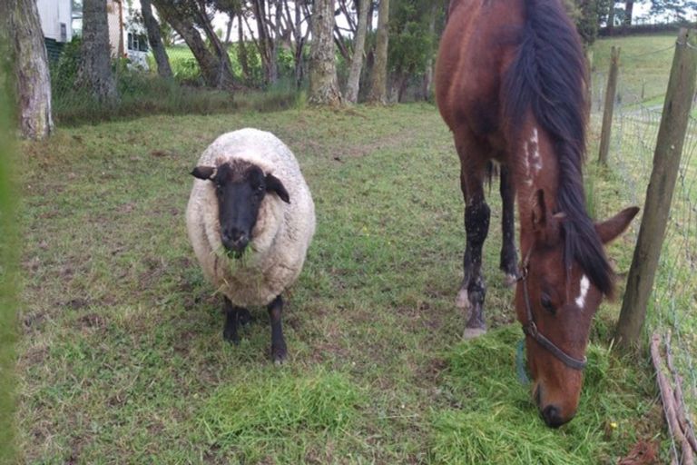 Photo of property in 66 Albany Highway, Greenhithe, Auckland, 0632