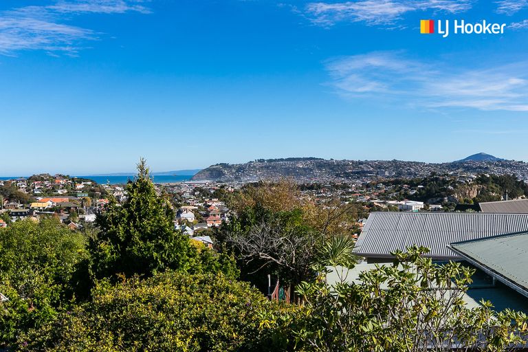 Photo of property in 16 Kinvig Street, Andersons Bay, Dunedin, 9013