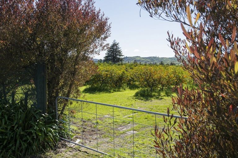 Photo of property in 1286 Matawai Road, Ormond, Gisborne, 4071