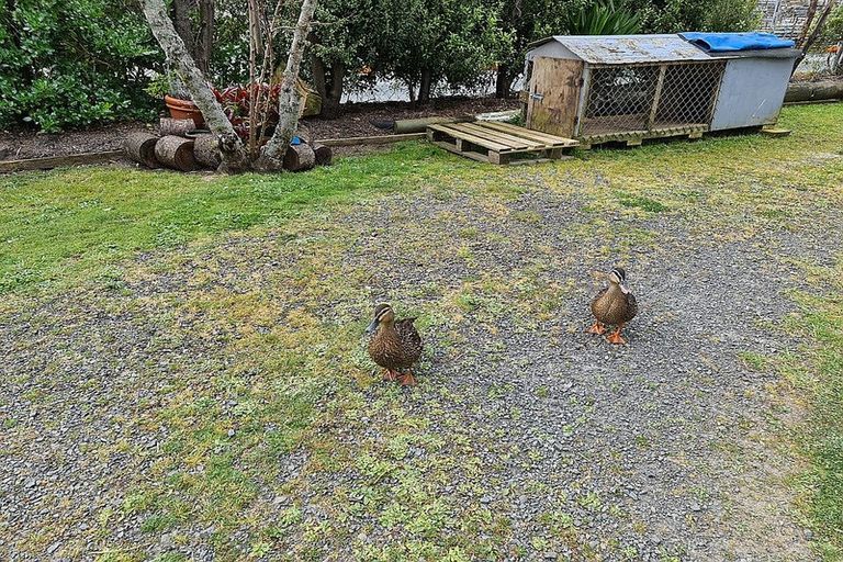 Photo of property in 47 Morningside Road, Morningside, Whangarei, 0110