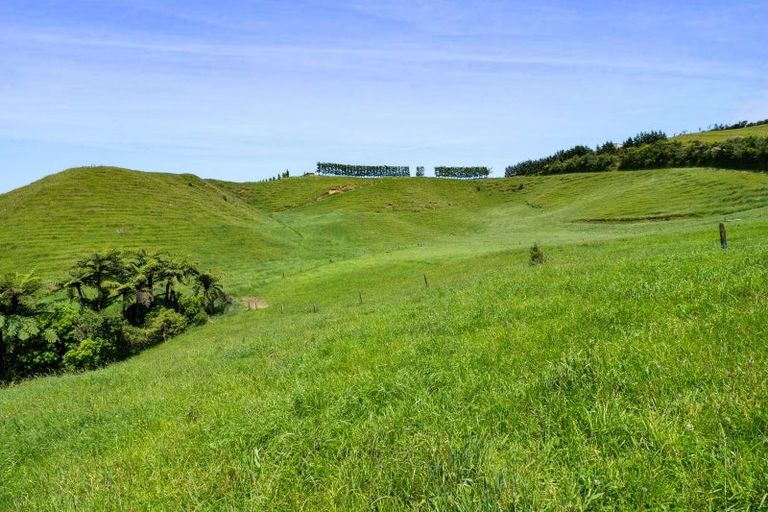 Photo of property in 325a Awai Road, Tarurutangi, New Plymouth, 4372
