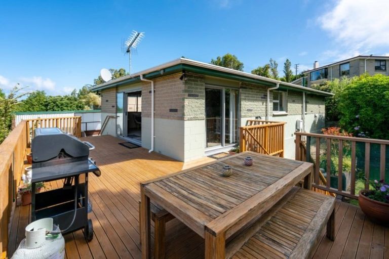Photo of property in 62 Puketai Street, Andersons Bay, Dunedin, 9013