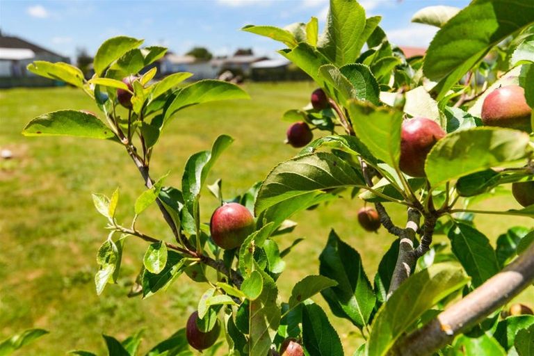 Photo of property in 25 Flower Street, Bulls, 4818