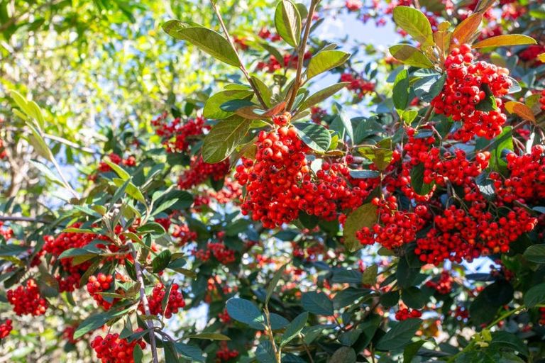 Photo of property in 664 State Highway 2, Tahawai, Katikati, 3170