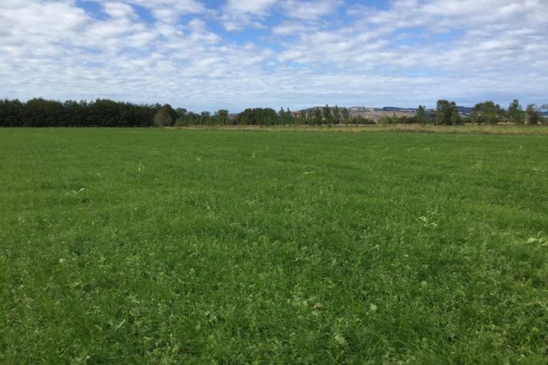 Photo of property in 258 Henley-berwick Road, Henley, Outram, 9073