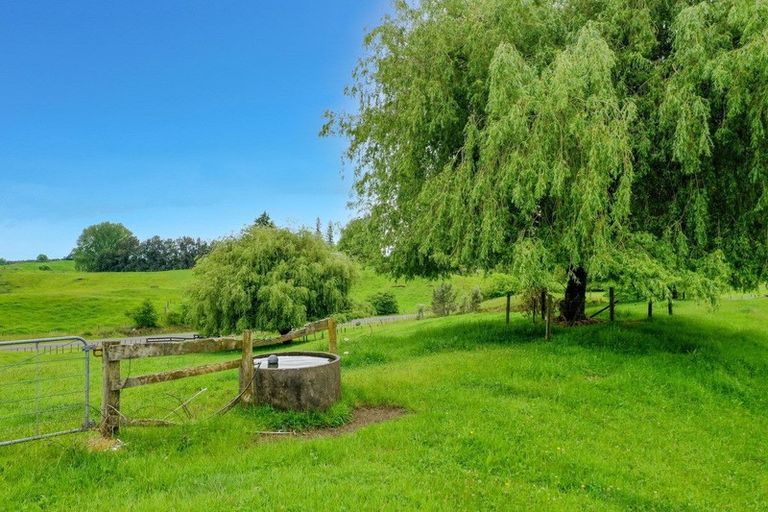 Photo of property in 189 Hogg Road, Rotoma, Whakatane, 3192