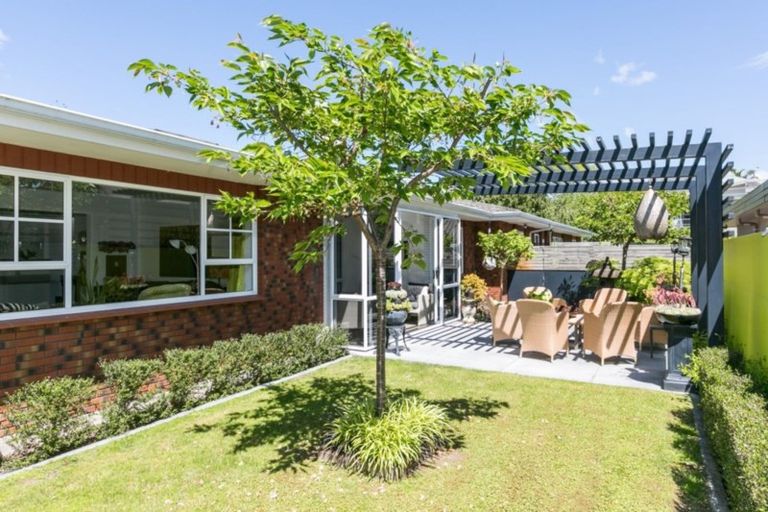 Photo of property in 8 Shortland Place, Havelock North, 4130