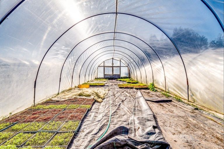 Photo of property in 11 Kauru Road, Waipatu, Hastings, 4172