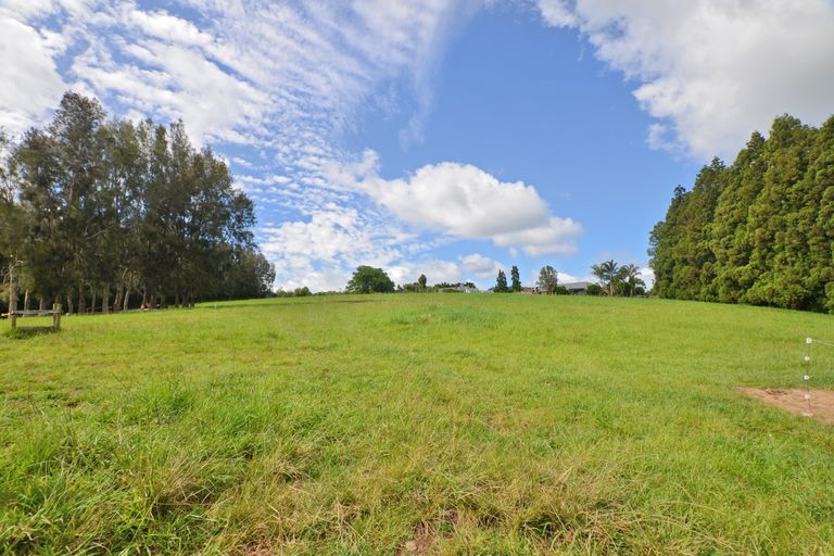 Photo of property in 217 Apotu Road, Kauri, 0185