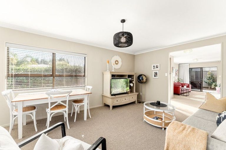 Photo of property in 61 Campbell Road, Mount Maunganui, 3116