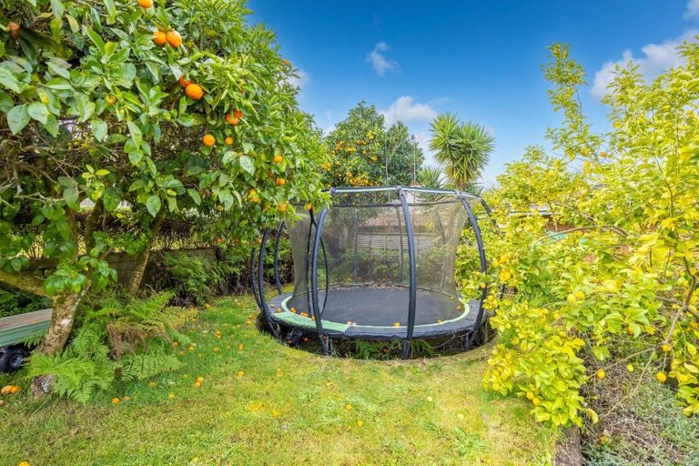 Photo of property in 263 Douglas Avenue, Te Awamutu, 3800