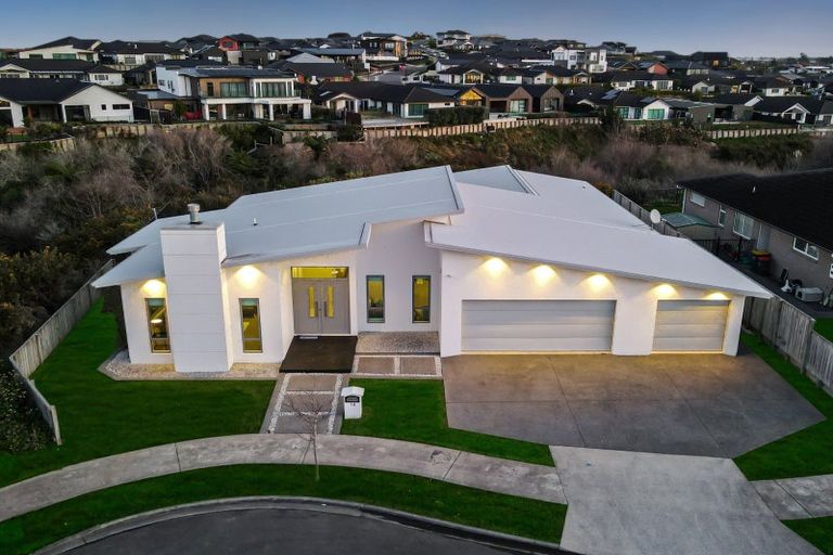 Photo of property in 14 Platina Place, Flagstaff, Hamilton, 3210