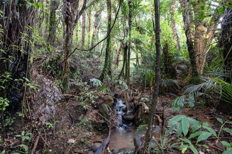 Photo of property in 315 Rangihau Road, Coroglen, Whitianga, 3591