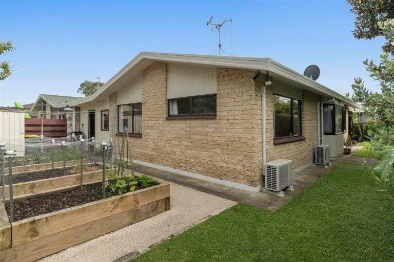 Photo of property in 50a Myres Street, Otumoetai, Tauranga, 3110