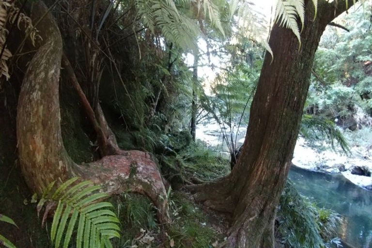 Photo of property in 210 Wainui Road South, Whakamarama, Katikati, 3181