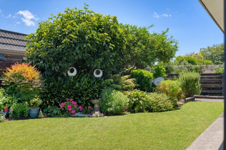 Photo of property in 111a Chapel Street, Otumoetai, Tauranga, 3110