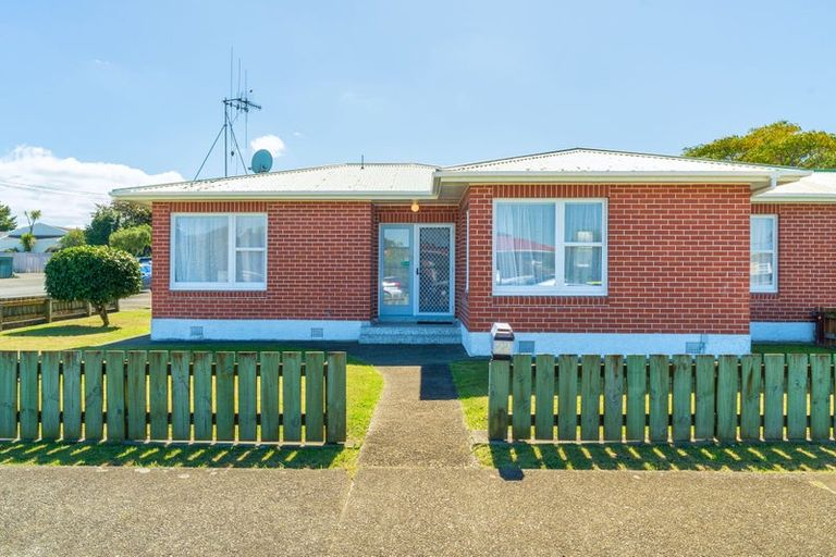 Photo of property in 22 Stanley Street, Levin, 5510