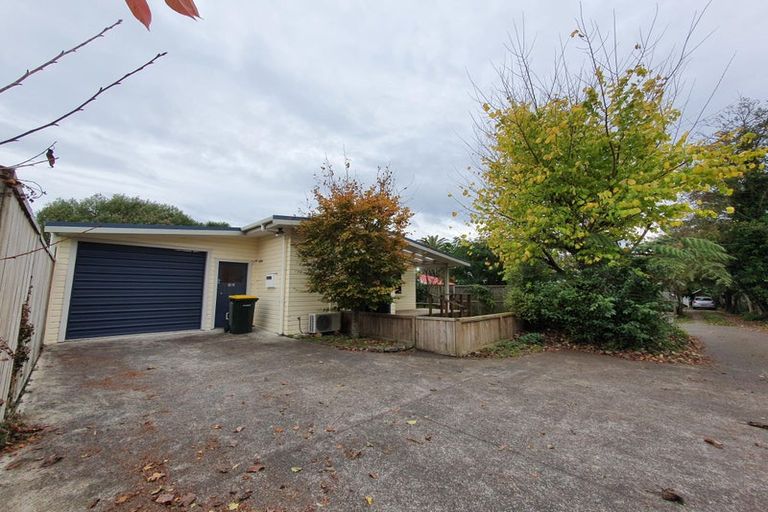 Photo of property in 18a Mckenzie Street, Levin, 5510